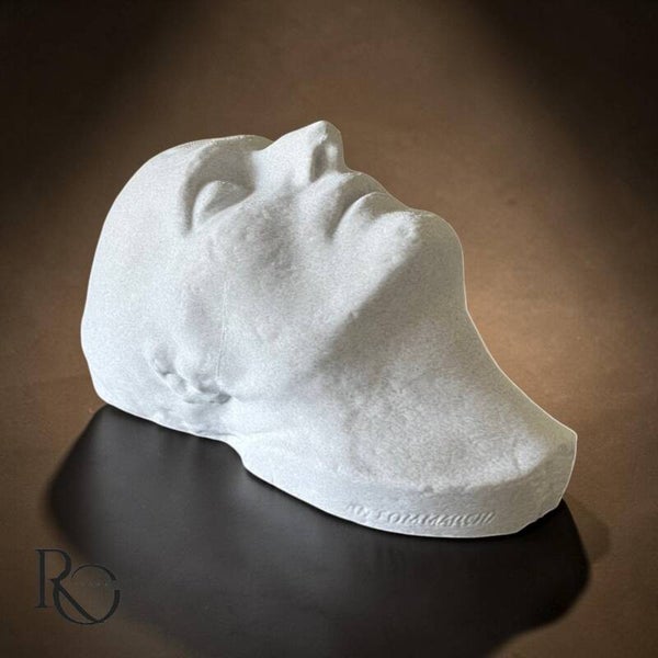 Napoleon Bonaparte Dodenmasker – Authentieke 3D Scan – Historisch Beeld – Marble Look