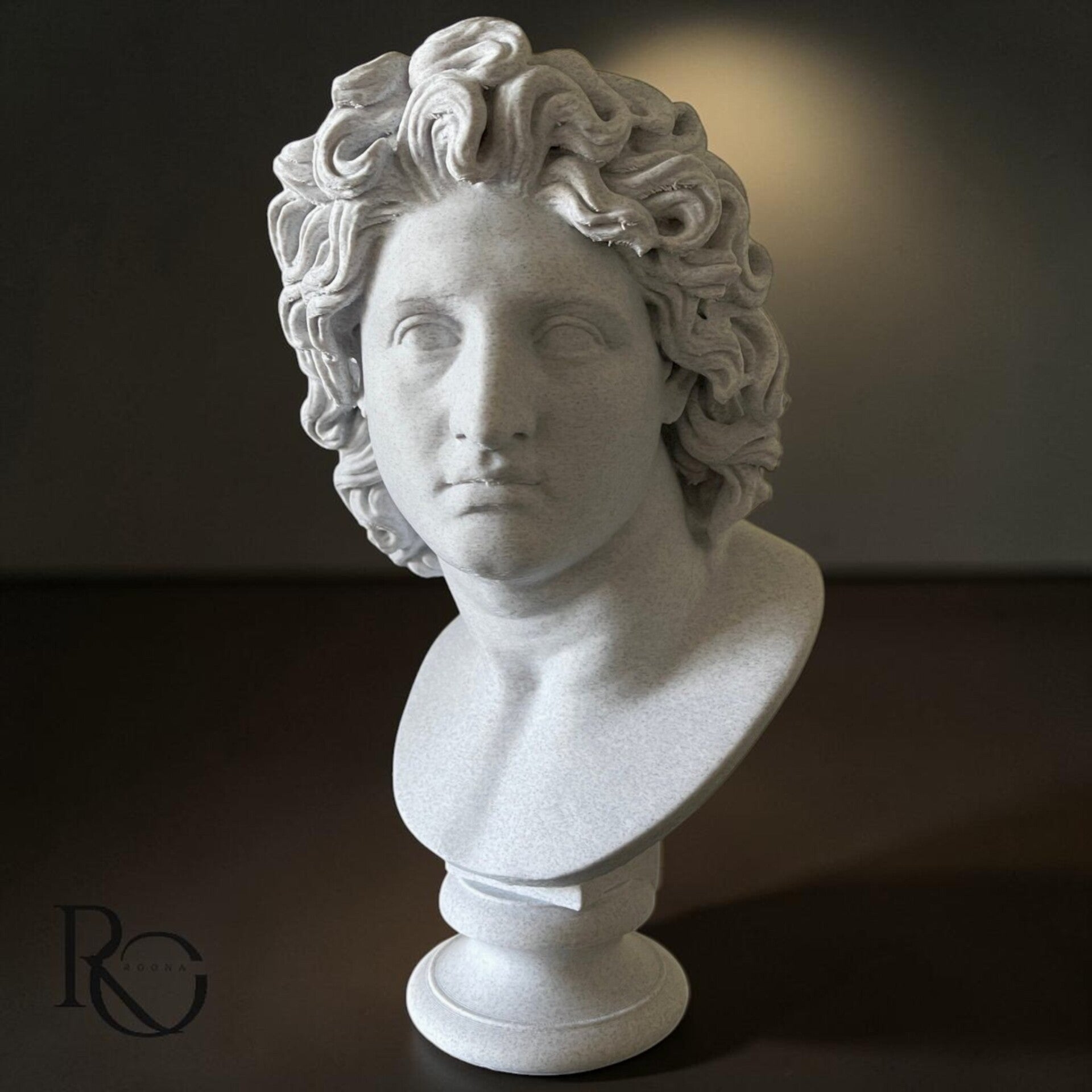 Alexander de Grote Buste – Klassieke Sculptuur – Marble Look Decoratie – 24 cm