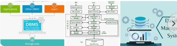 Database Design and Development