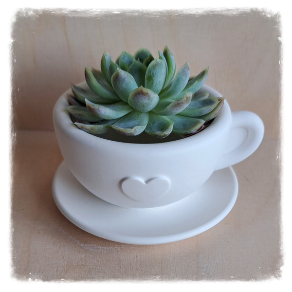 Tasse mit Unterteller