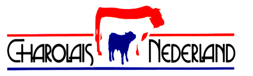 Het Ras | Het Nederlandse Charolais Stamboek