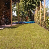 IMAG0633.jpg