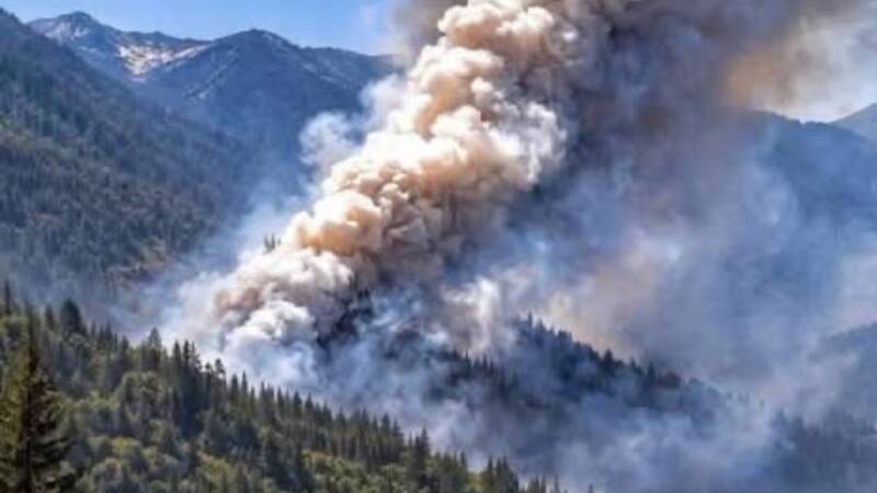 Incendio Forestal "El Bosque" en Parral