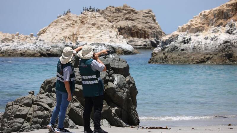 REGIONAL: SAG CONFIRMA CASO DE INFLUENZA EN CISNE DEL MAULE