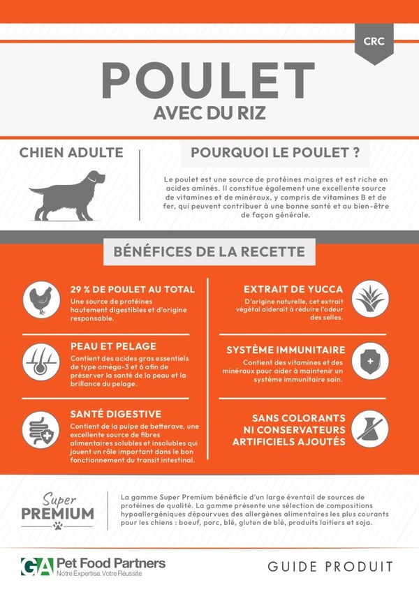 Poule avec du riz