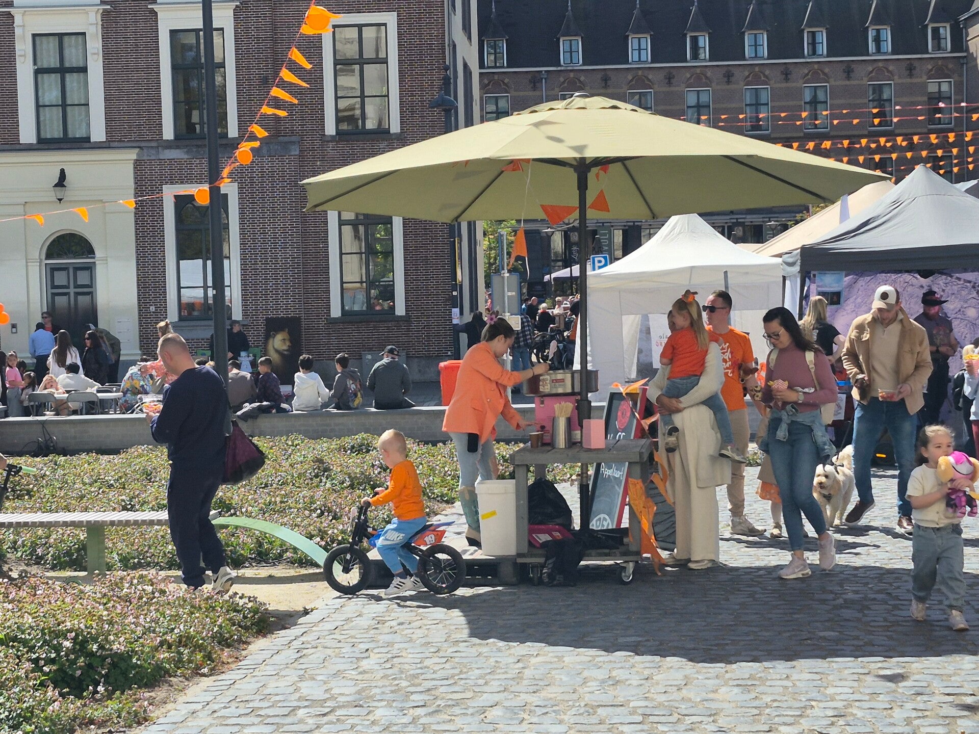20260427_122826-standard.jpg