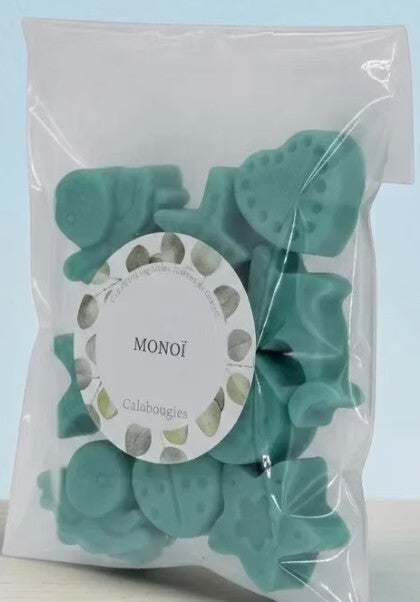 FONDANTS DE CIRE A BRULER MONOÏ