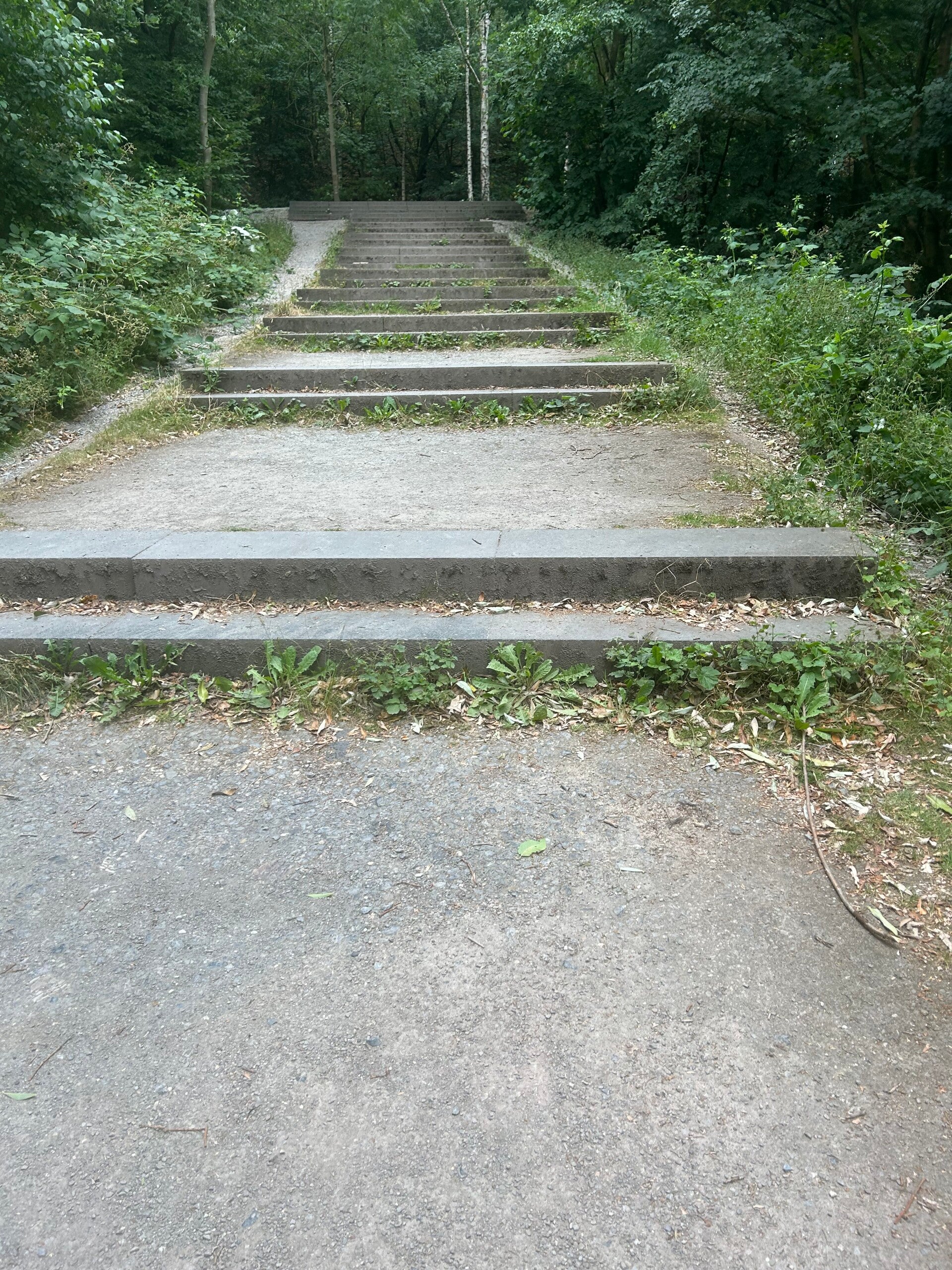 Ein steiniger Weg mit Stufen führt sanft bergauf in ein bewaldetes und  begrüntes Areal.