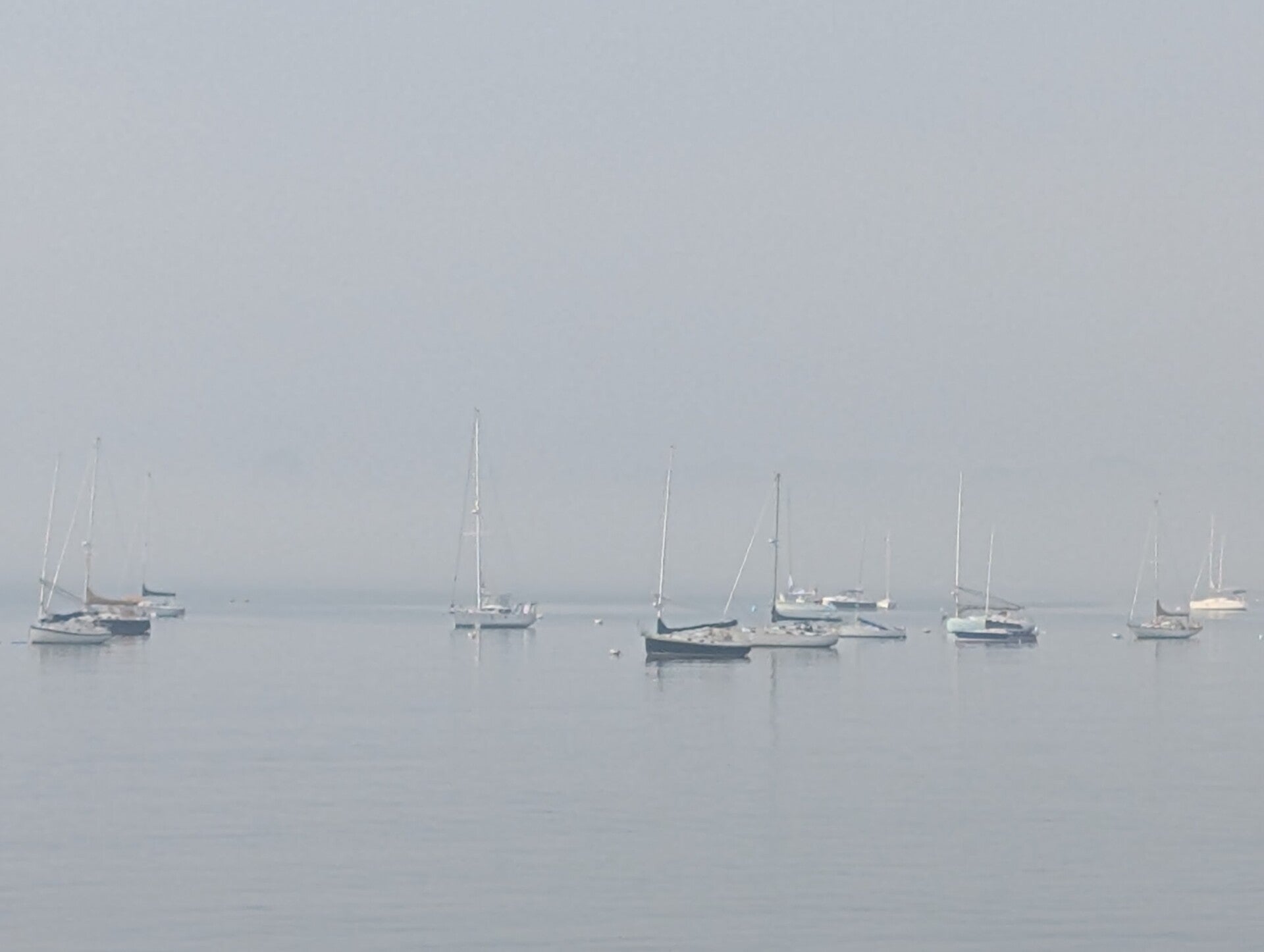 pxl_20260628_111150036-standard.jpg