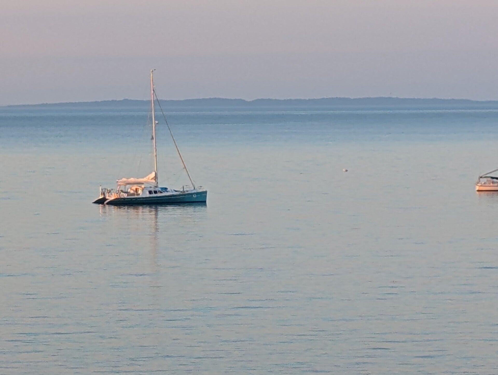 pxl_20260709_094635140-standard.jpg