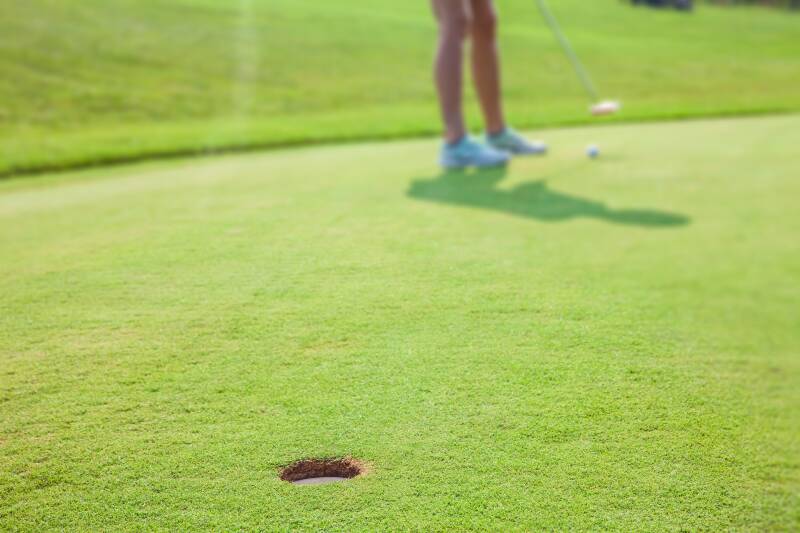 golf putting green
