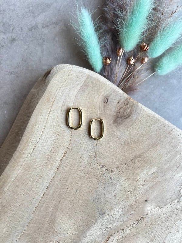 Oorbel ovaal mini 16mm goud