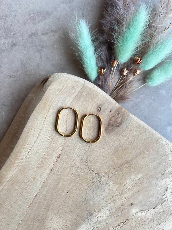 Oorbel ovaal Maxi goud 23 mm