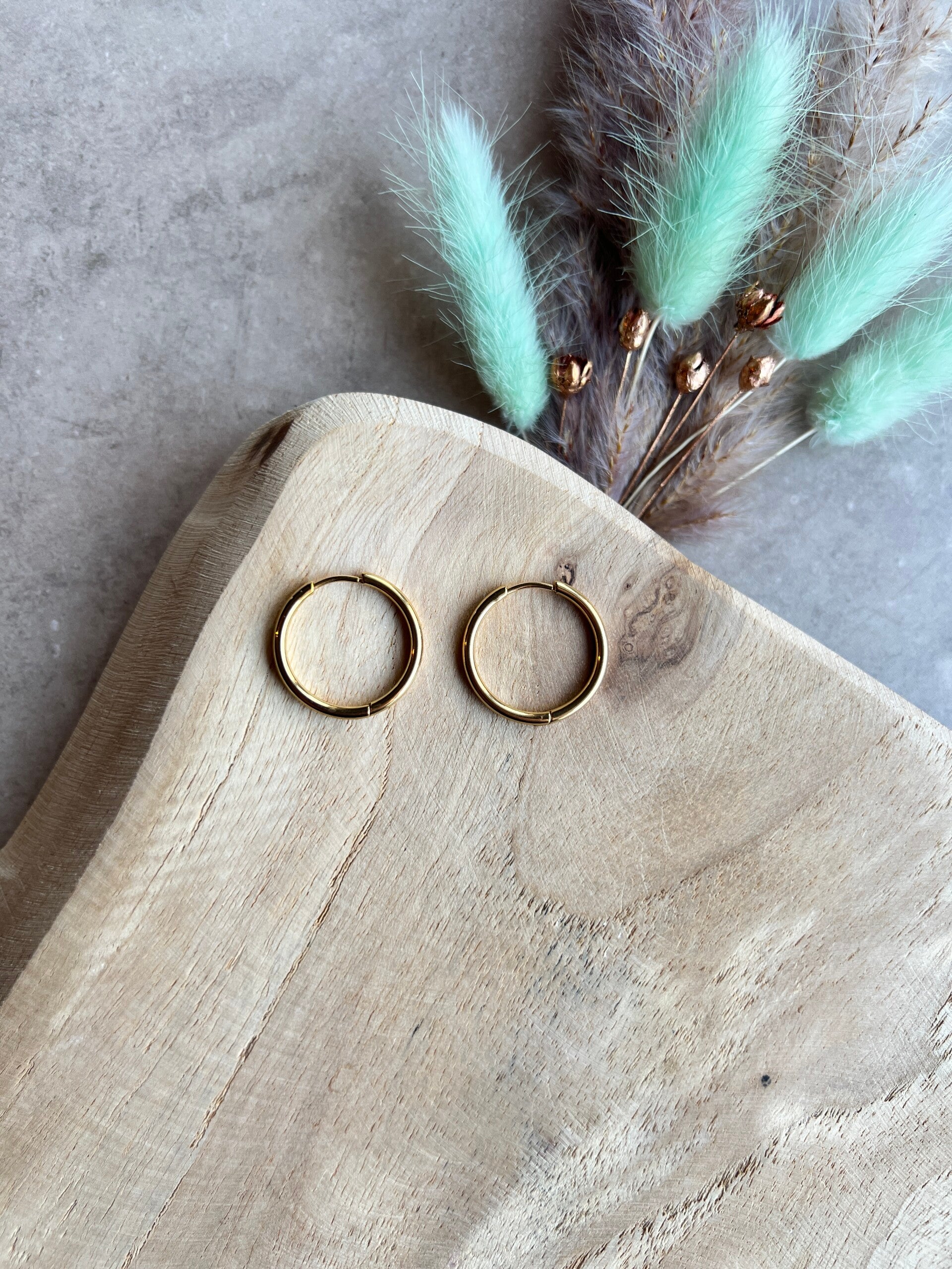 Oorbel rond goud 22 mm