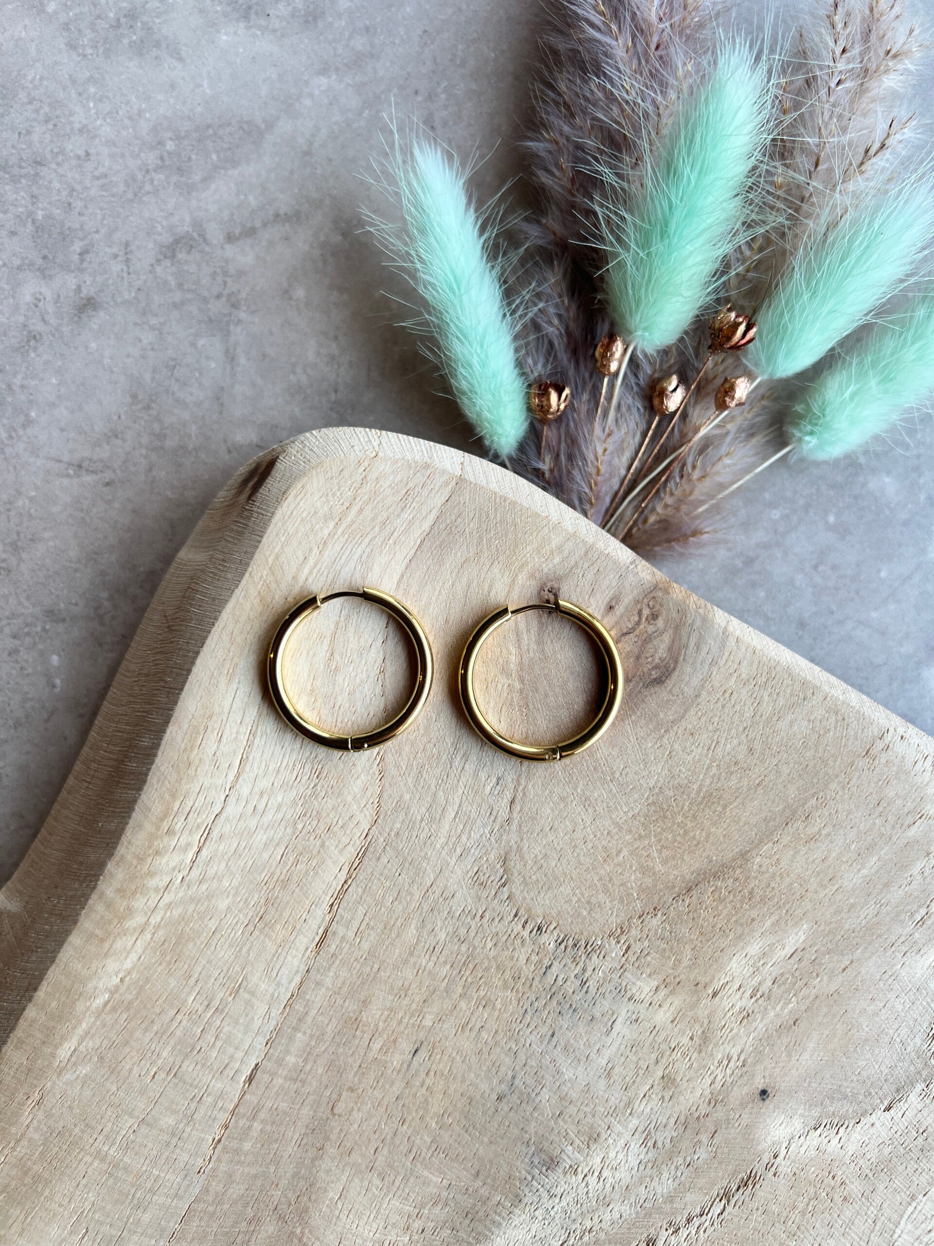 Oorbel rond goud 25 mm