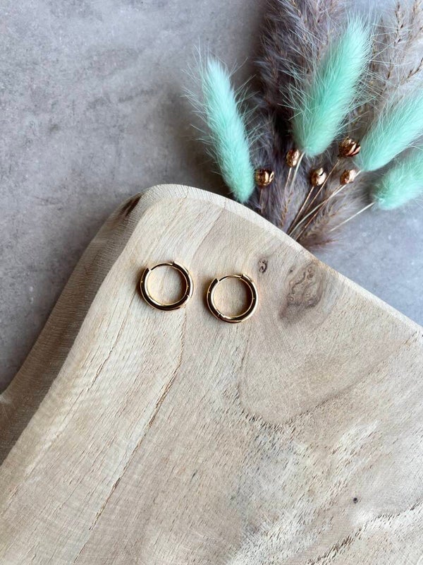 Oorbel rond goud 17 mm