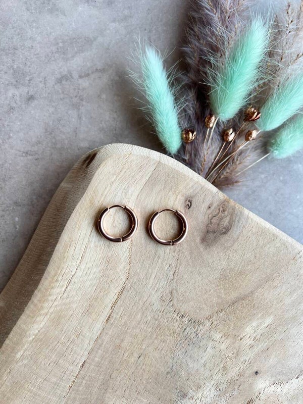 Oorbel rond rosé 17 mm