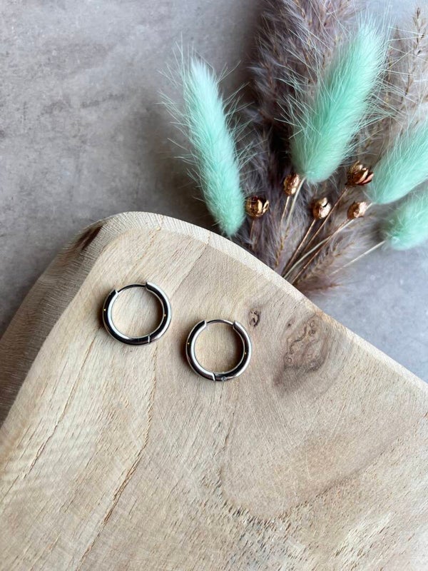 Oorbel rond zilver 17 mm