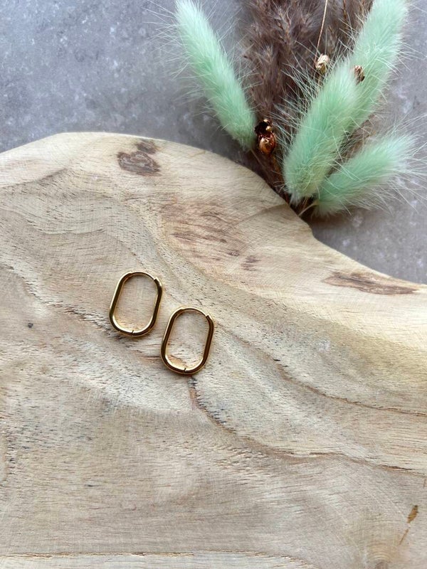3. Oorbel ovaal goud 20 mm