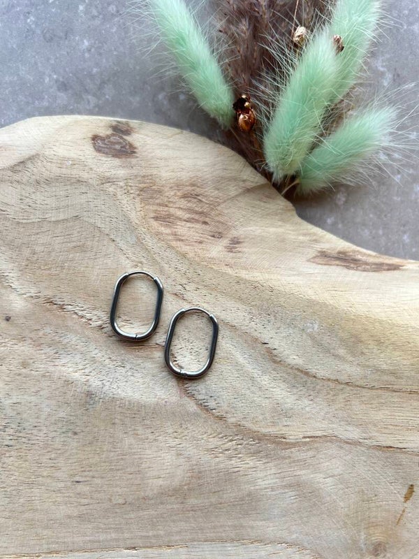 4. Oorbel ovaal zilver 20 mm
