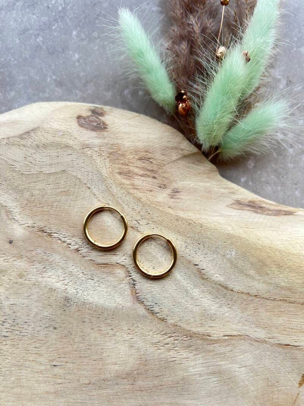 17. Oorbel rond goud 18 mm