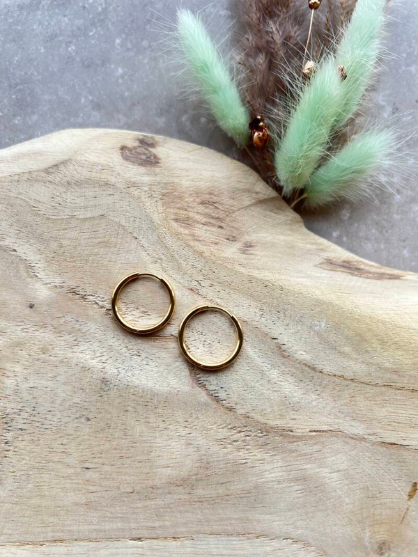 18. Oorbel rond goud 20 mm