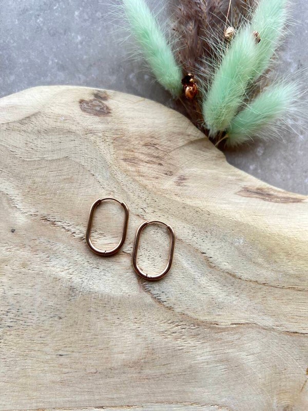 24. Oorbel ovaal rosé 22 mm