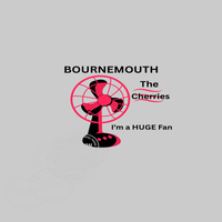 bournemouth-wm-3-standard-flv16g.png