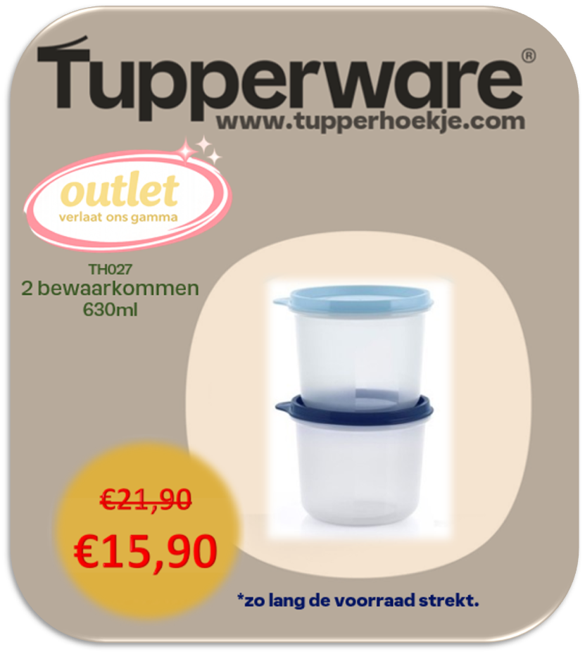 2 bewaarkommen 600 ml