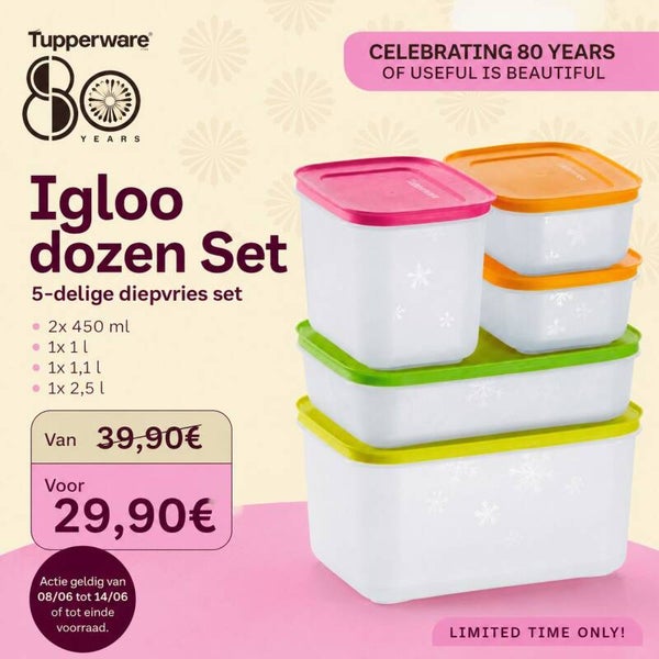 Igloo dozen set