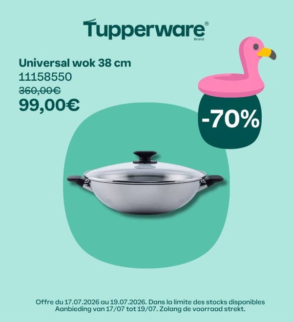 Universele wok 38cm