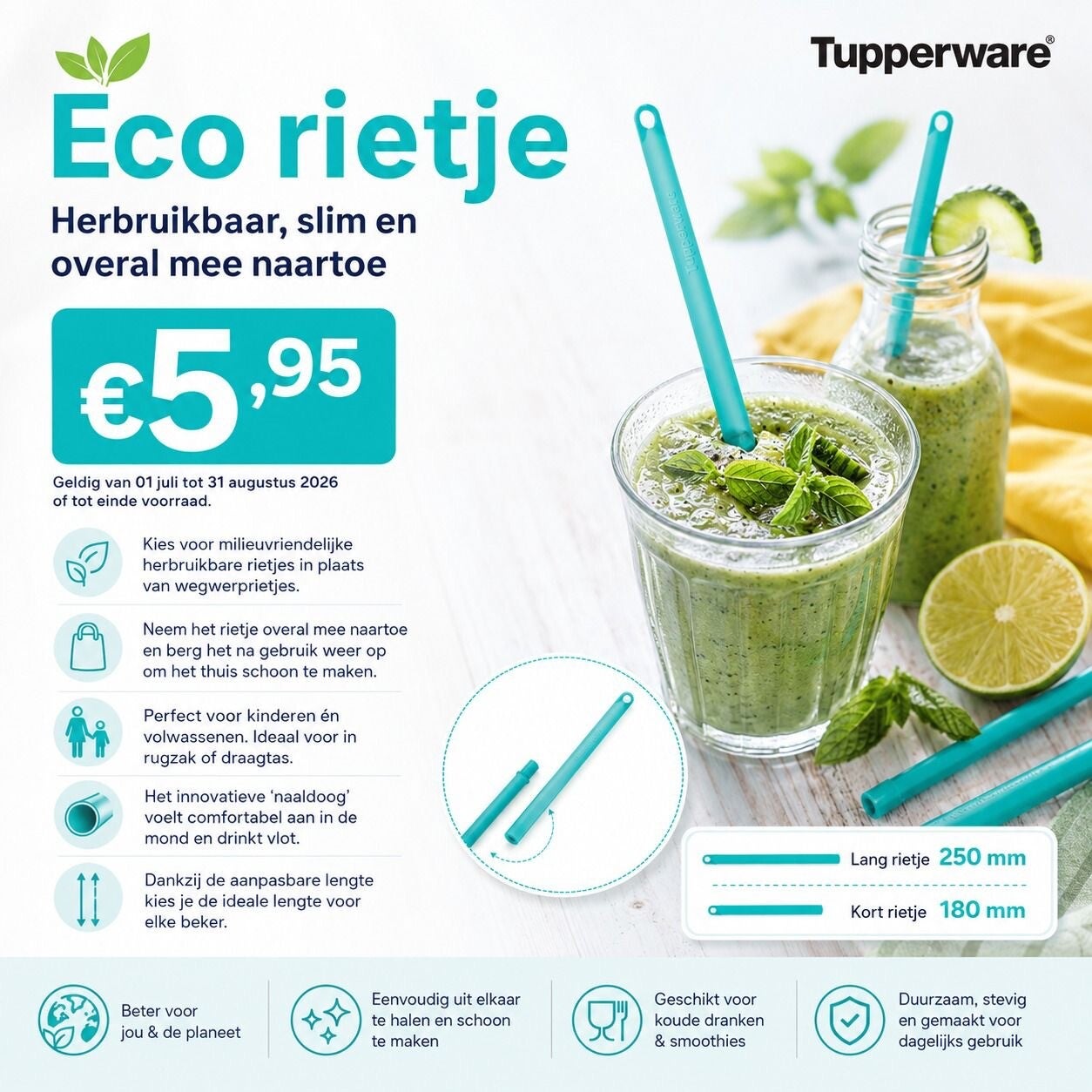 eco rietje