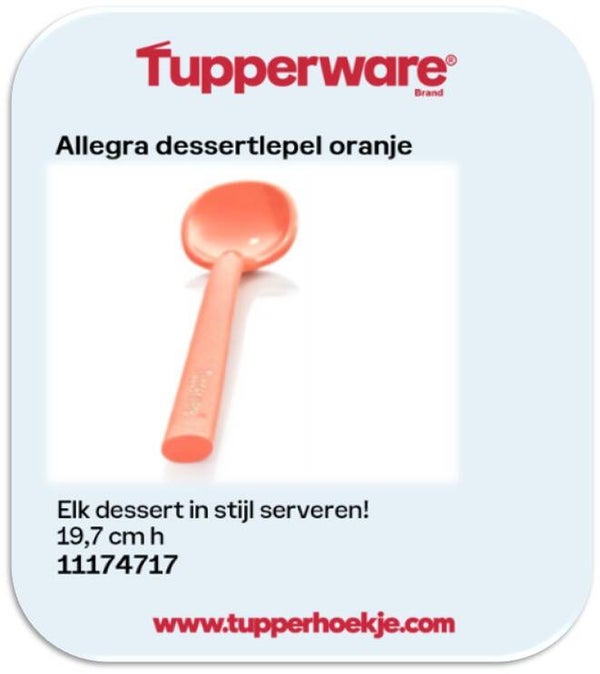 allegra dessert lepel oranje