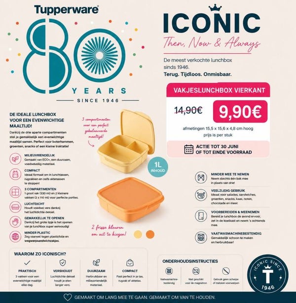 vakjeslunchdoos vierkant