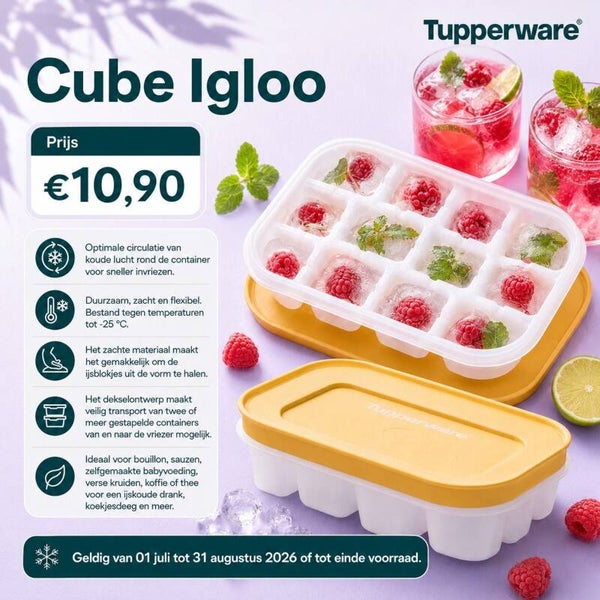 igloo cube
