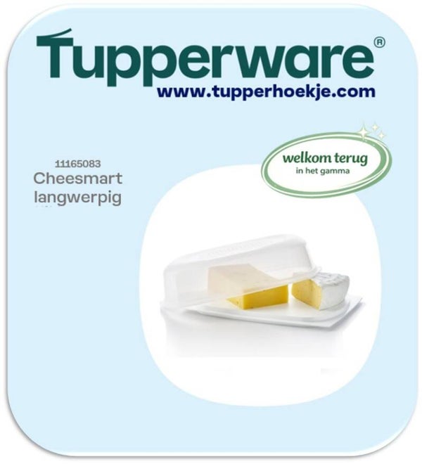cheesmart langwerpig