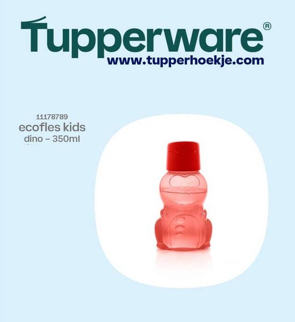 ecofles kids dino