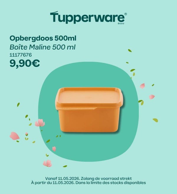Opbergdoos 500ml