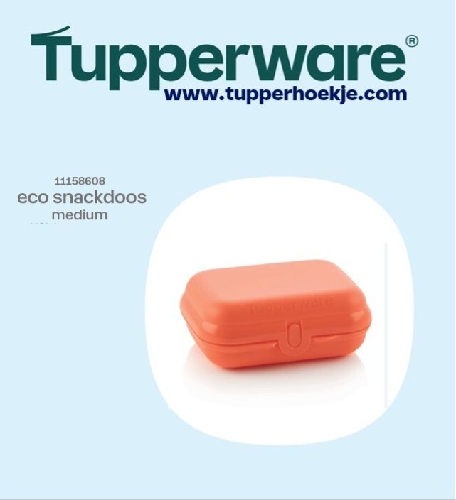 eco snackdoos medium