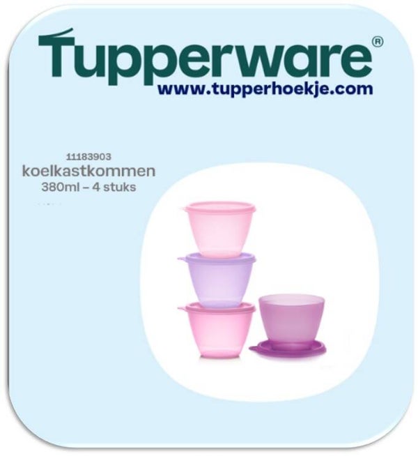 4 koelkastkommen 380ml
