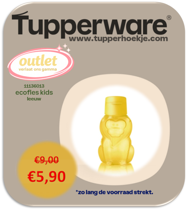 ecofles kids leeuw
