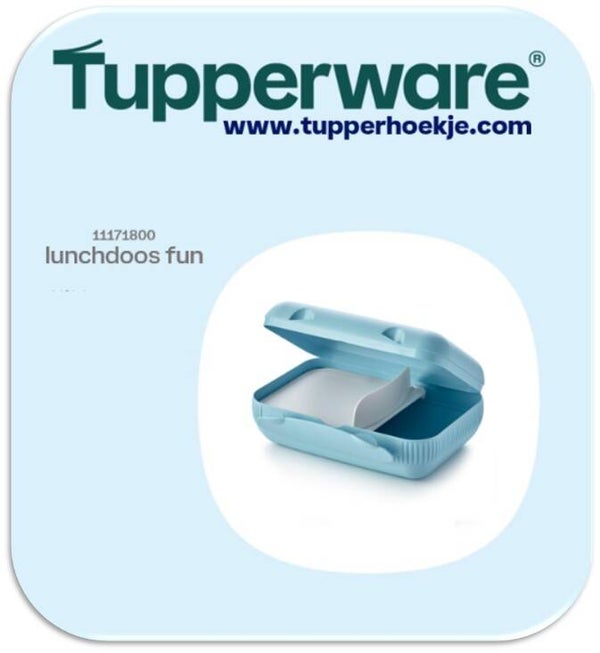 eco lunchbox fun