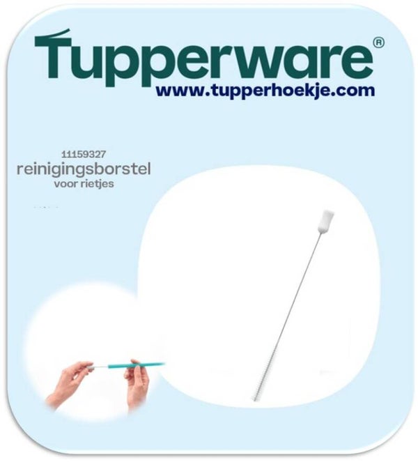 reinigingsborsteltje
