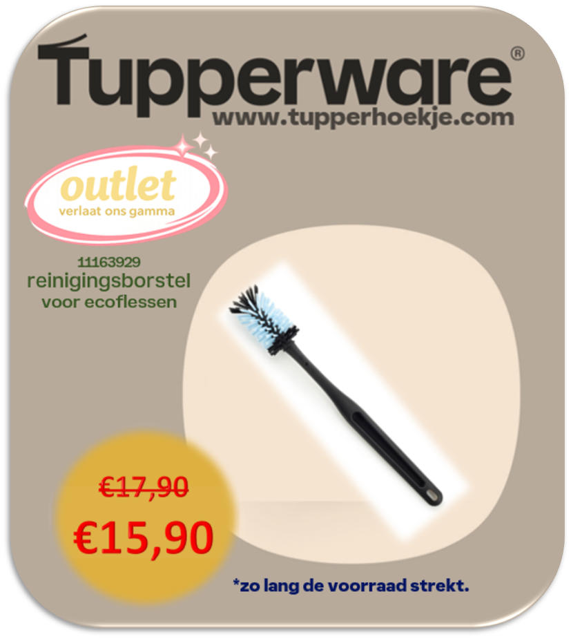 reinigingsborstel