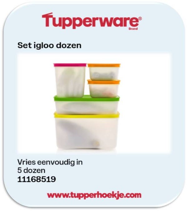 set igloo dozen