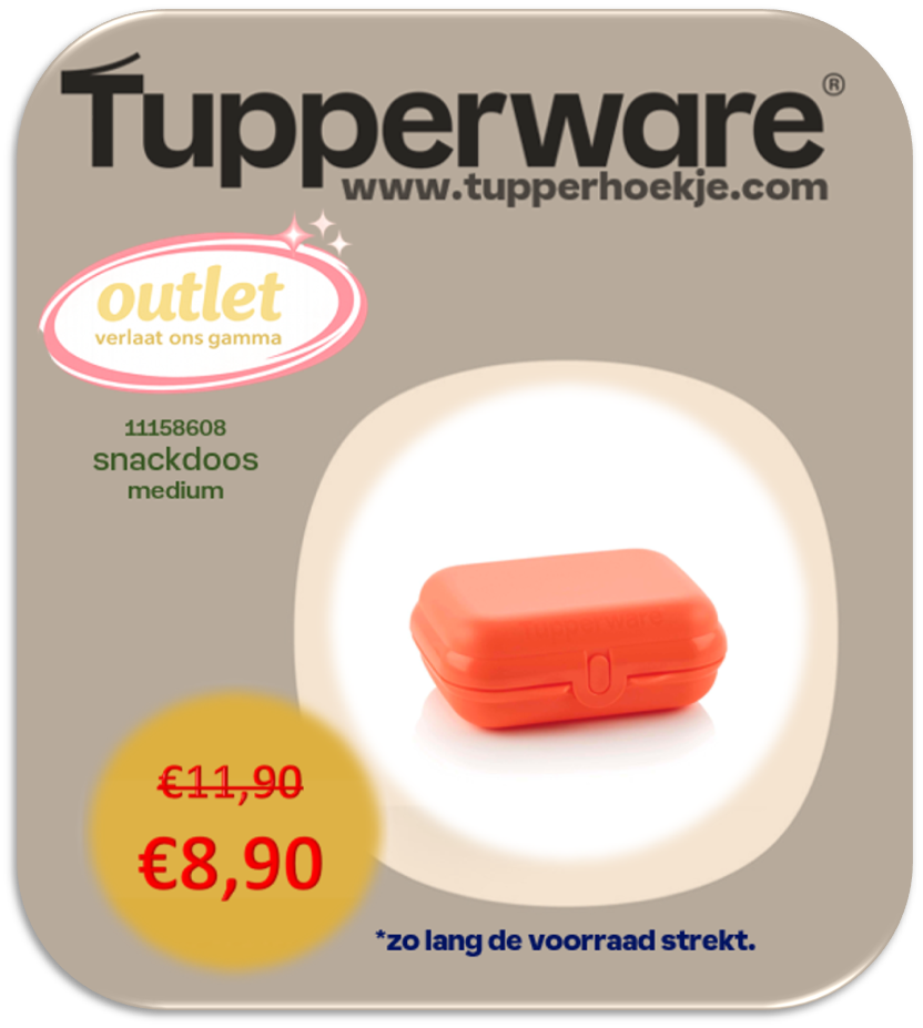 eco snackdoos medium