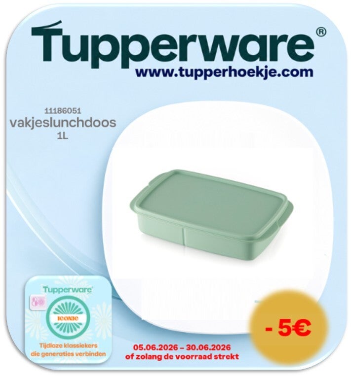 vakjeslunchdoos 1L