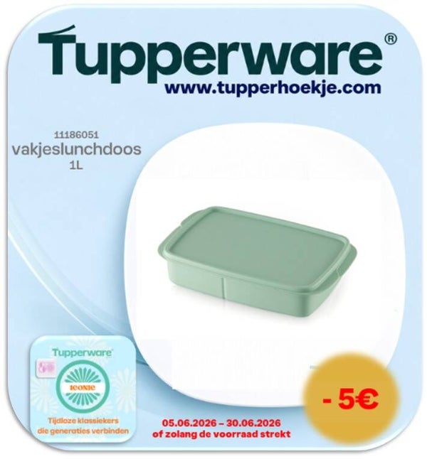 vakjeslunchdoos 1L