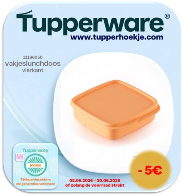 vakjeslunchdoos vierkant