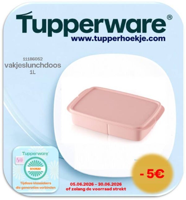 vakjeslunchdoos 1L
